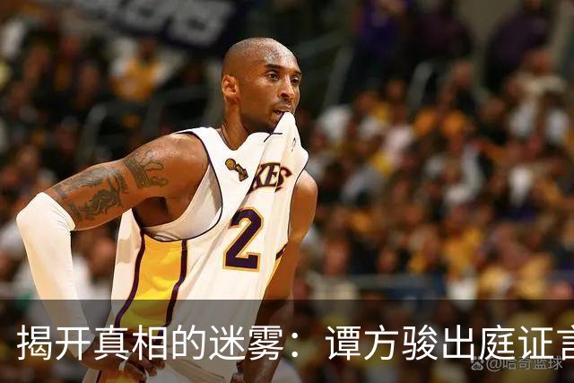 揭开真相的迷雾：谭方骏出庭证言再起波澜